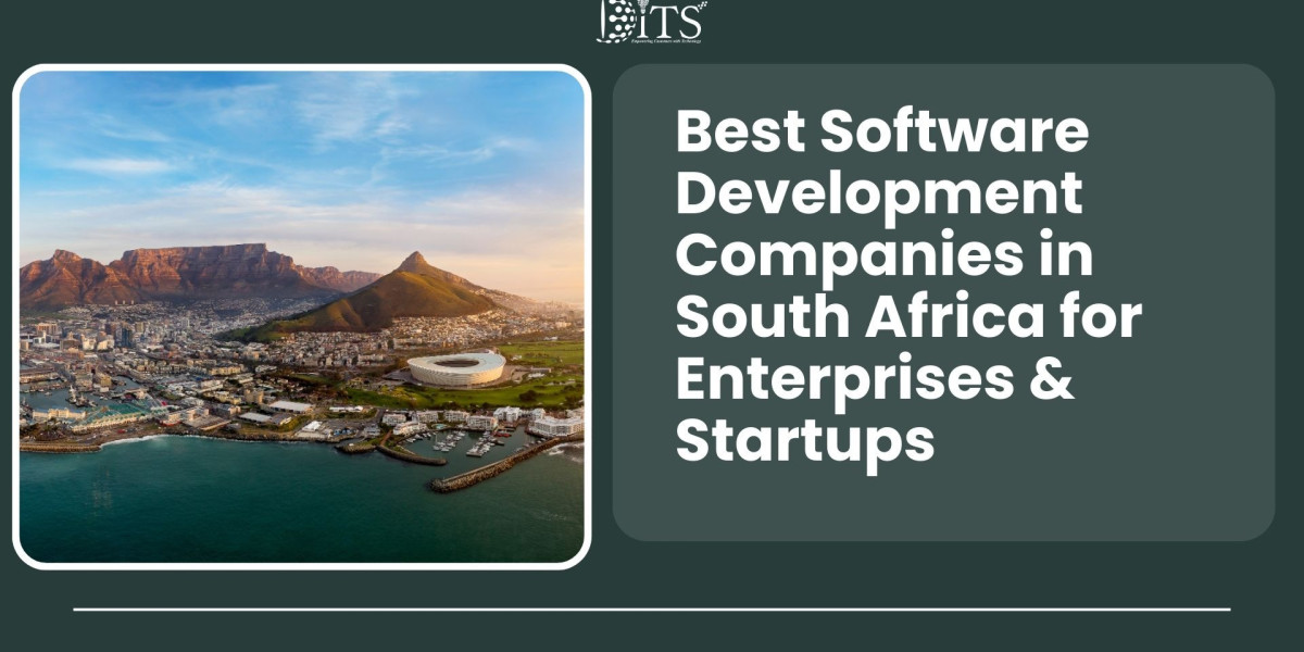 Best Software Development Companies in South Africa for Enterprises & Startups