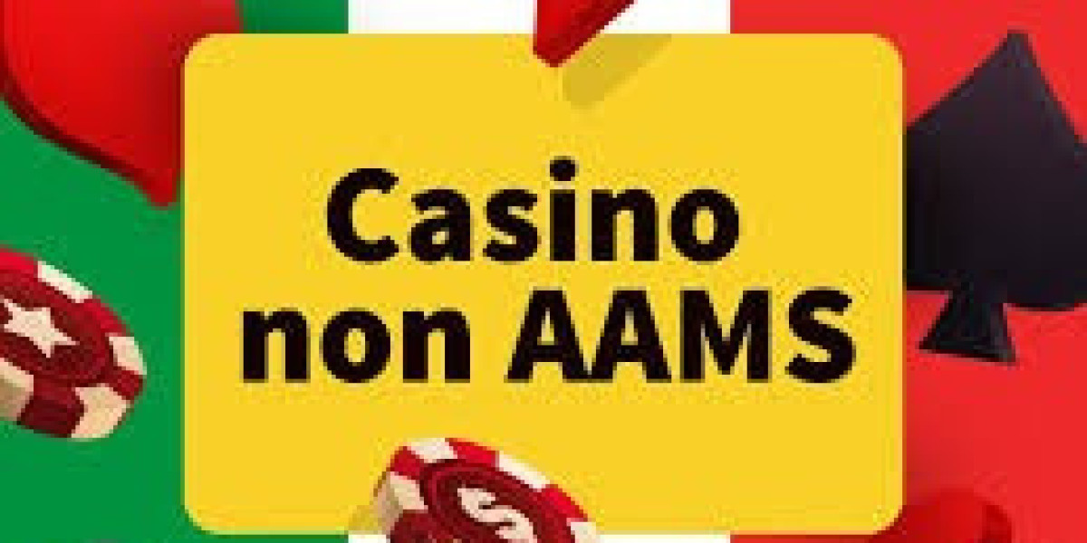 Esperienza di Gioco Vincente nei Migliori Casino Non AAMS