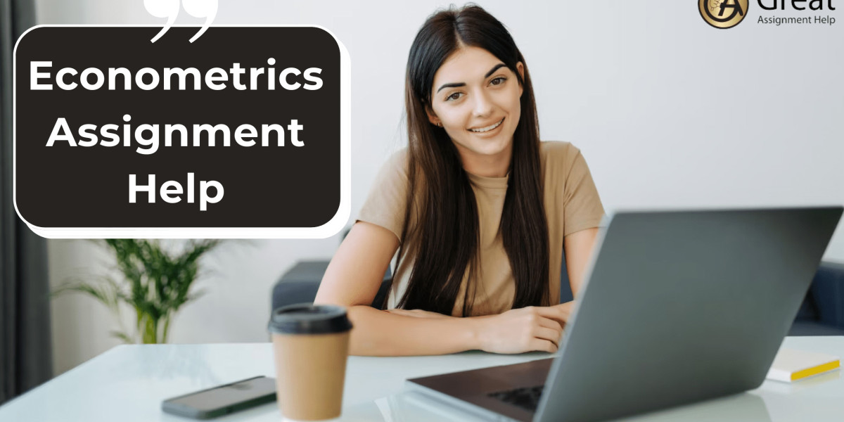 Get econometrics assignment help from top experts in the USA
