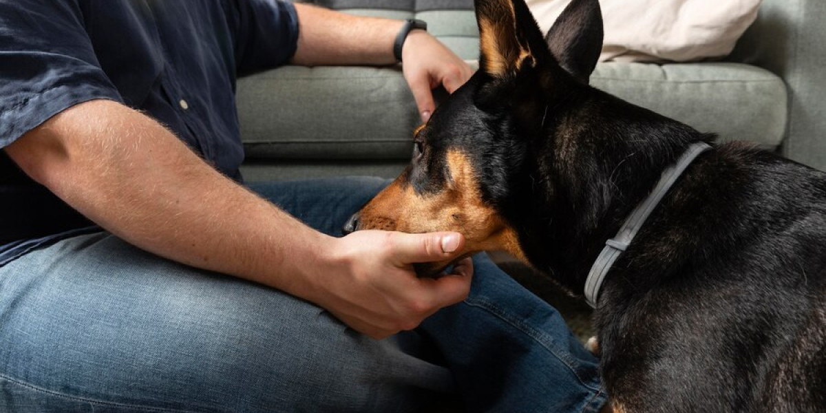 What Is Fenbendazole 444 mg Used for in Dogs?