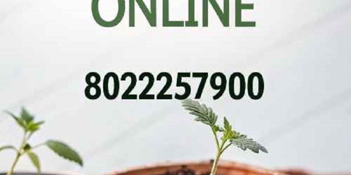Premium Potting Soil Manufacturers Delivering Superior Quality