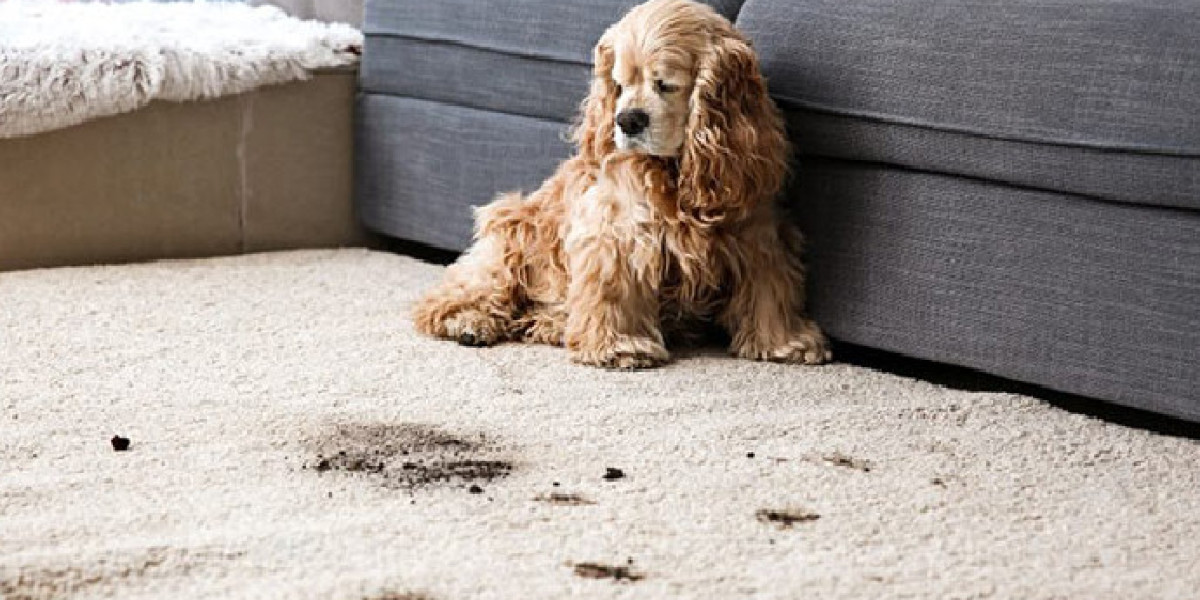Effective Ways to Keep Your Home Spotless and Fresh