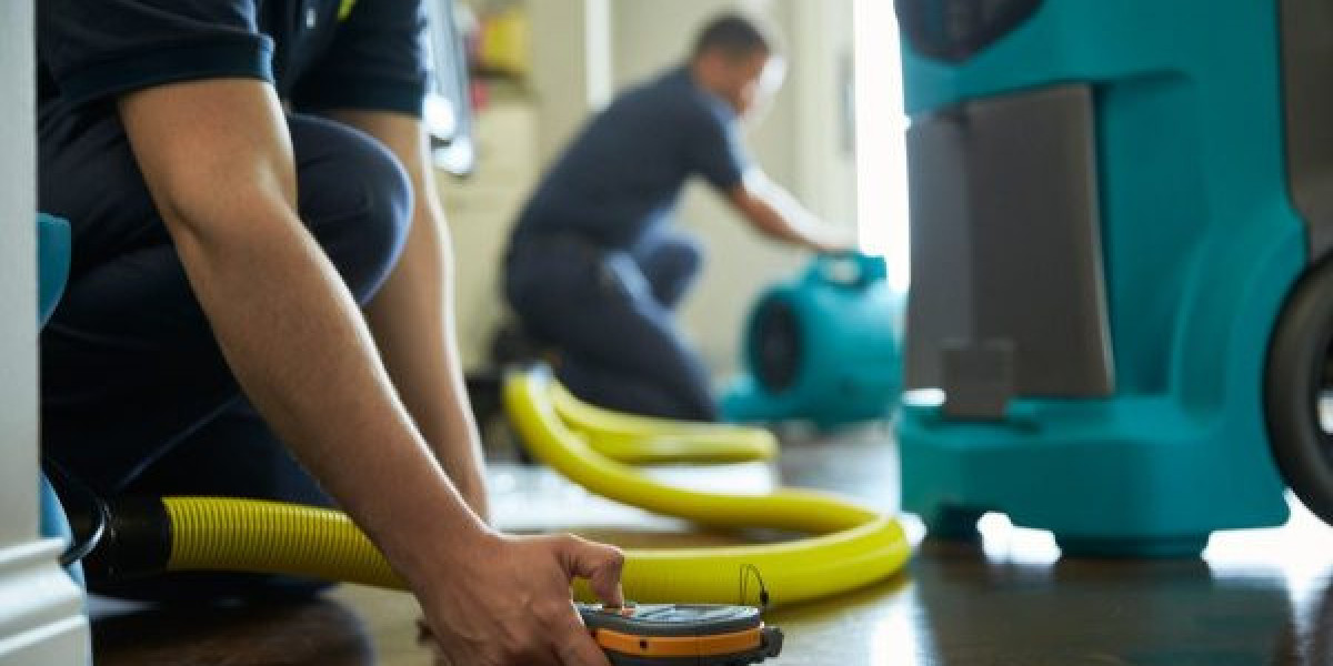 Understanding the Risks of Water Damage in Your Home