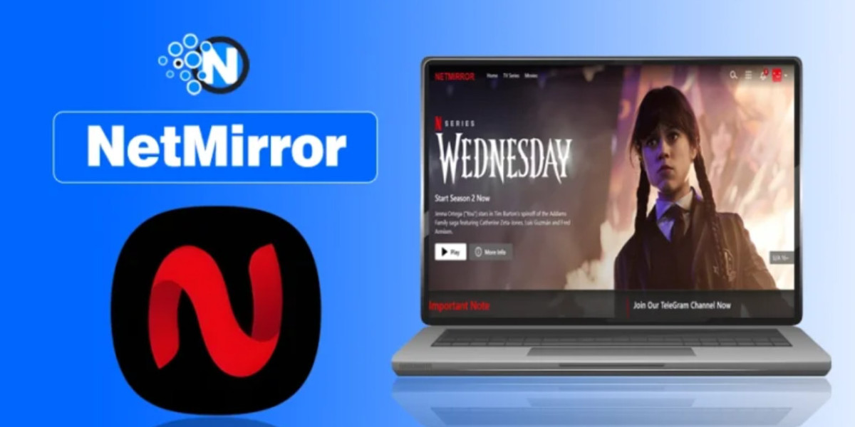 NetMirrorApp Full Review: How It Works, Is It Safe or Legal in 2025?