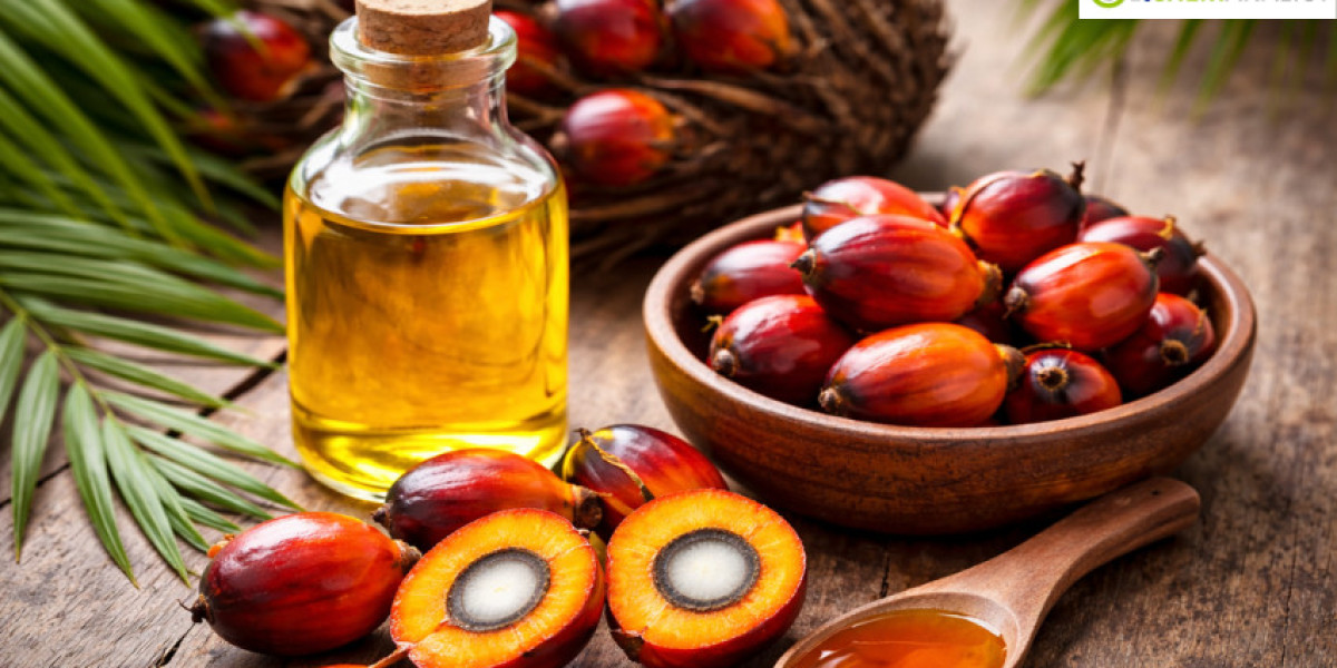 Palm Oil Prices: Latest Market Trends, Supply Dynamics, and Forecast Outlook 