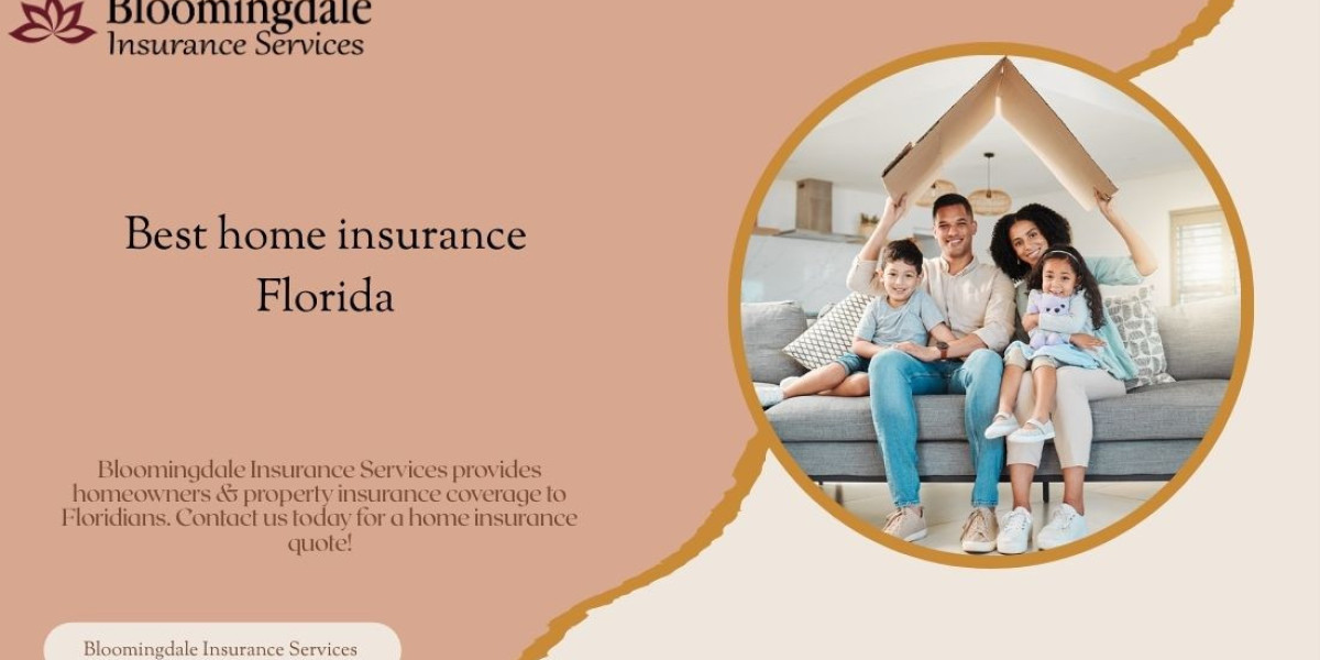 Bloomingdale Insurance Services: Comprehensive Coverage for Valrico, FL Residents