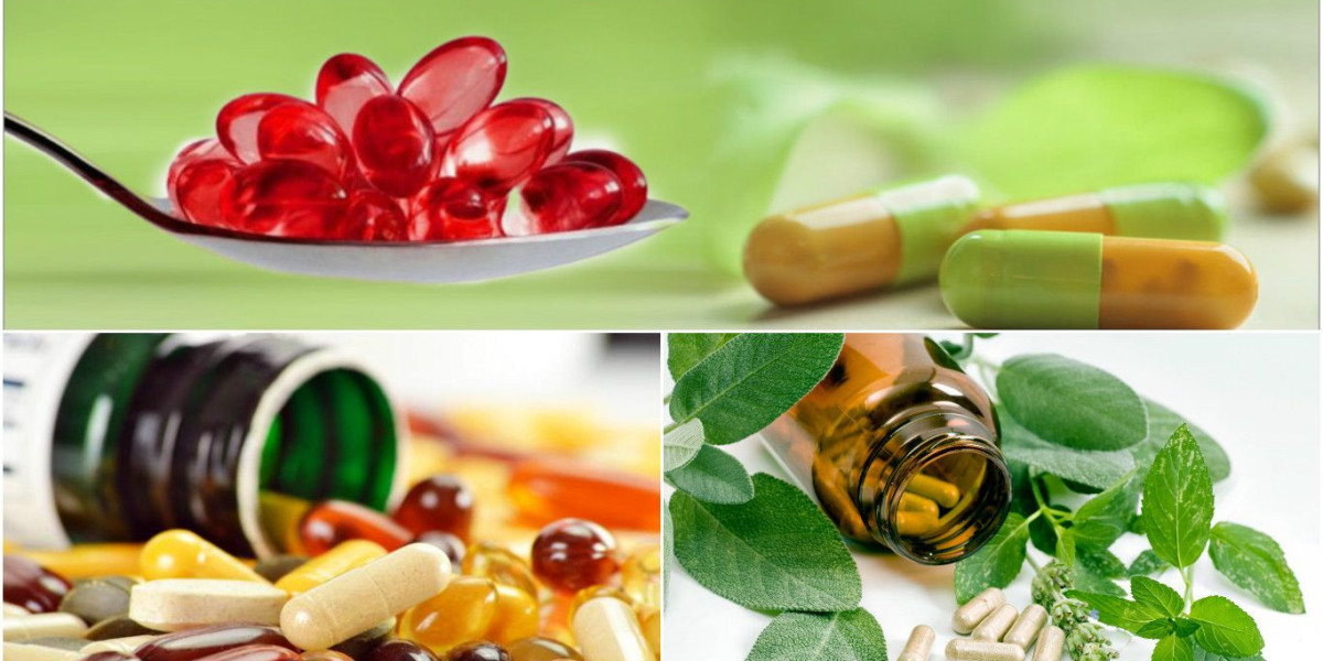 BioActive Ingredients — The Future of Nutraceutical Innovation in Pakistan and Beyond