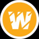 Wildnet Marketing Agency