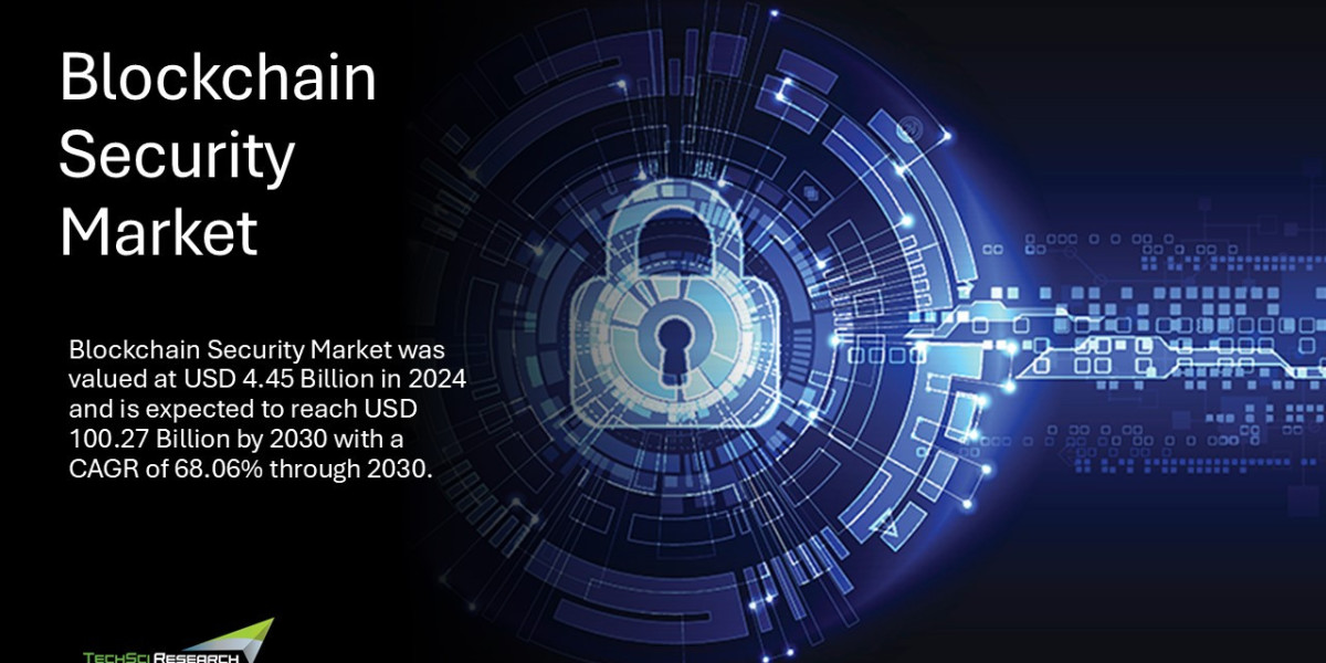 Blockchain Security Market 2030 Size, Investment Forecast Report