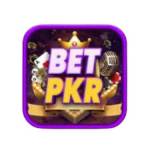 DK11 Game Download
