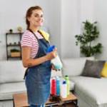 westlink cleaning