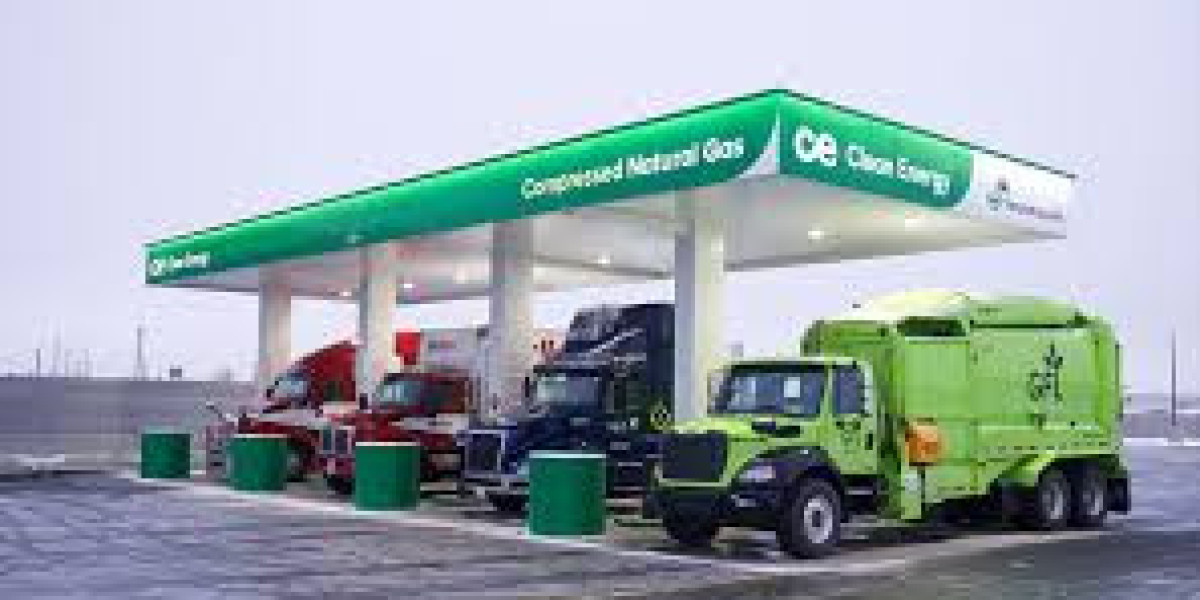 CNG Market 2031 Size, Share, Price Trends, Report: Industry Overview