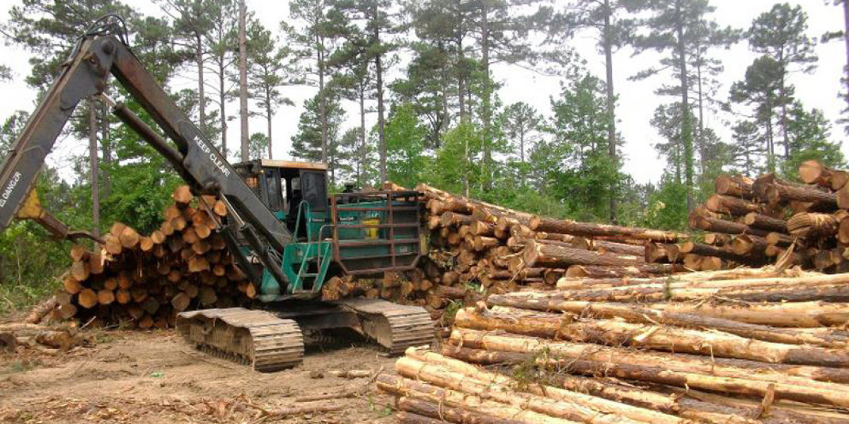 Timber Management Companies: Driving Sustainable Forestry