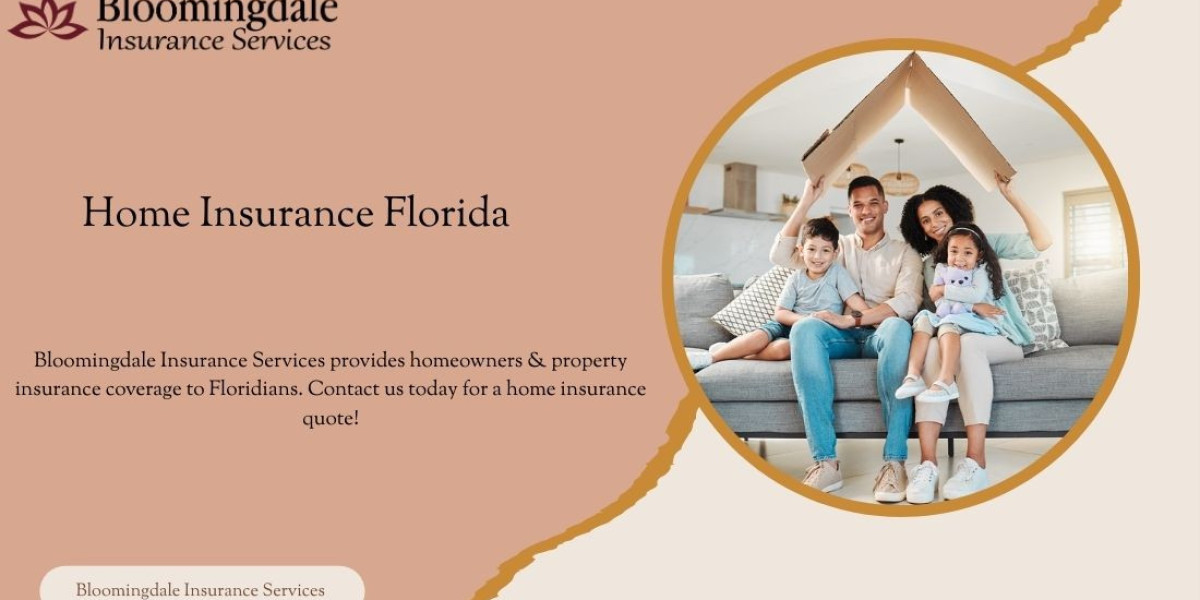 Comprehensive Home Insurance Florida Solutions by Bloomingdale Insurance Services