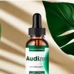 audizen buy