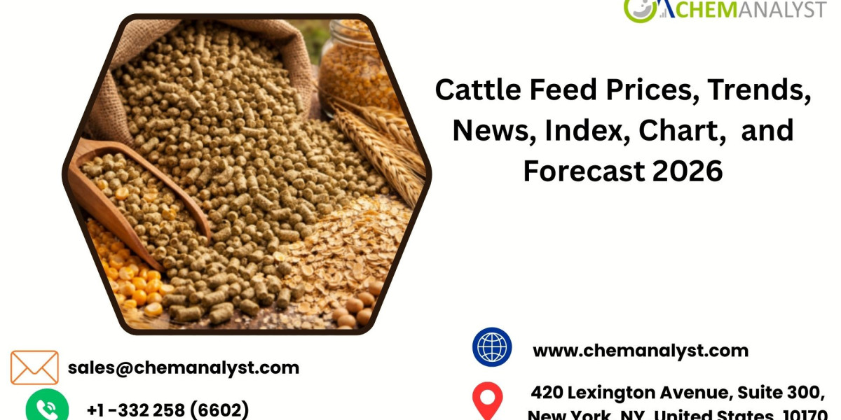 Cattle Feed Prices, Trends, Chart, Market Analysis, Latest News and Forecast 2026