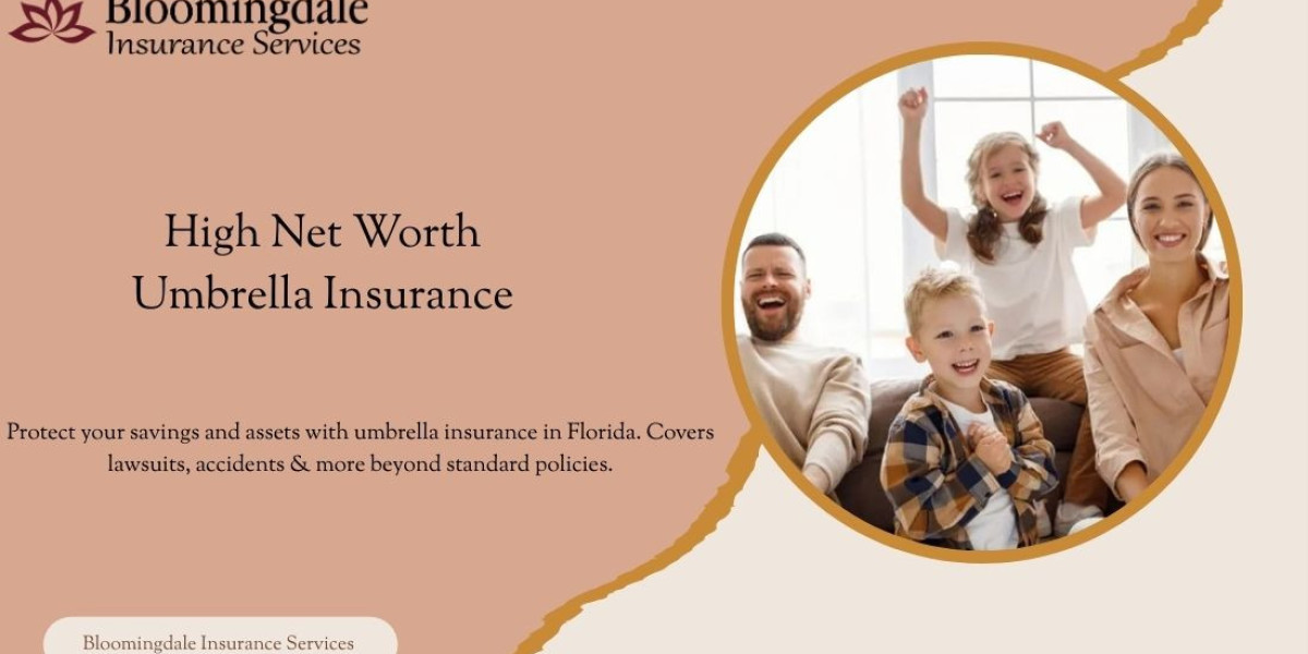 Comprehensive High Net Worth Umbrella Insurance Solutions in Valrico, FL