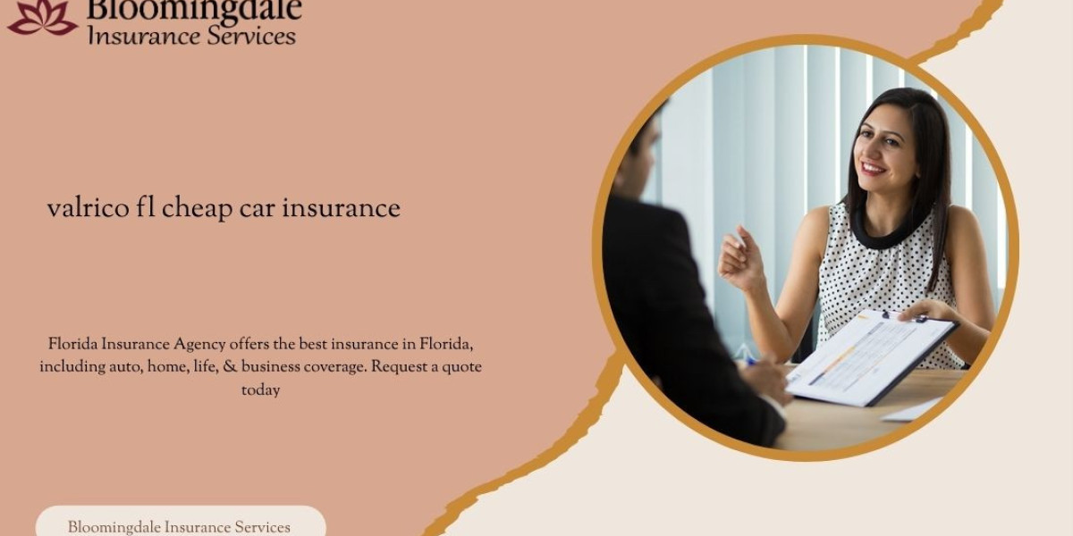 Affordable Valrico FL Cheap Car Insurance with Bloomingdale Insurance Services
