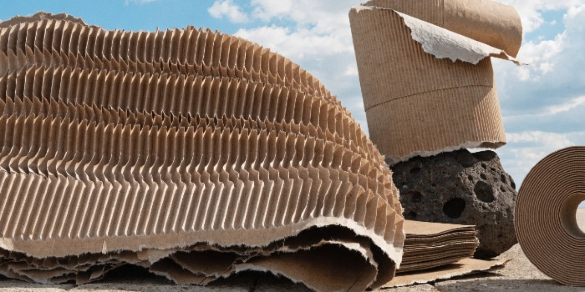 Corrugated Paper Price Chart March 2026: Global Insights and Forecast
