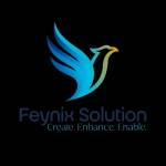 Feynix Solution