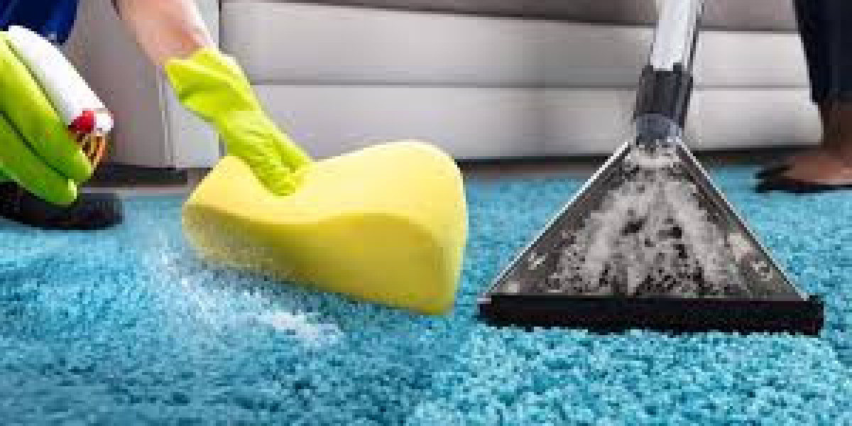 Why Carpet Cleaning Services Are Smart for Family Homes