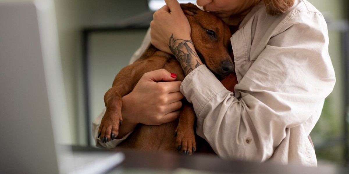 What Does Panacur Do for Dogs?