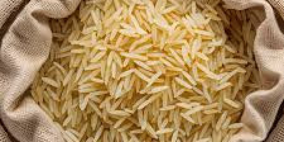 Rice Exporters in Pakistan: Powering the Nation’s White Gold Economy