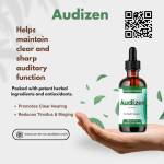 Audizen