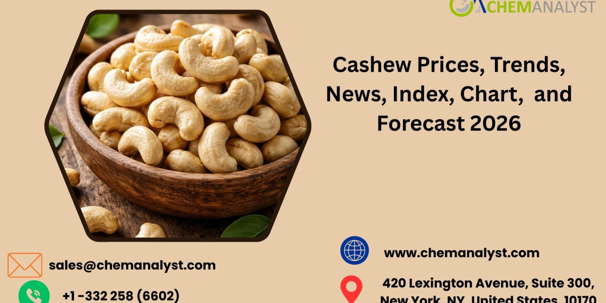Cashew Prices: Chart, Market Trends, Supply Dynamics, and Forecast Outlook 2026