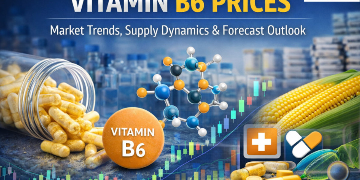 Vitamin B6 Prices: Latest Market Trends, Supply Dynamics, and Forecast Outlook 