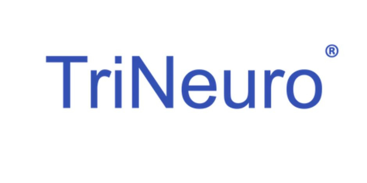 ? Best Supplements for Brain Inflammation: Natural Support for Cognitive Wellness