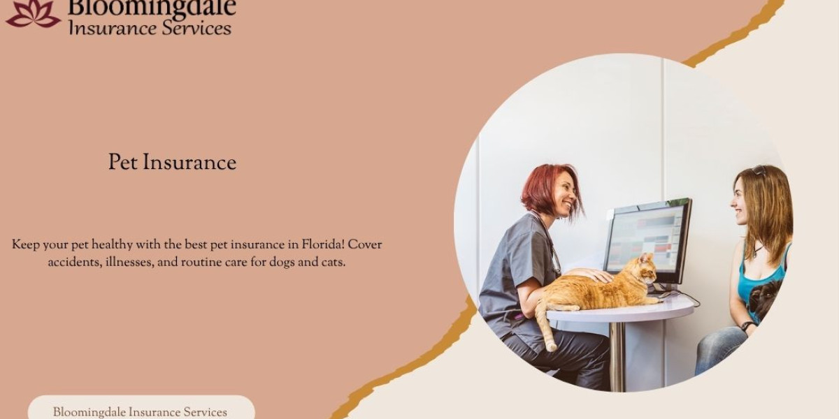 Comprehensive Pet Insurance Coverage for Your Beloved Pets in Valrico, FL