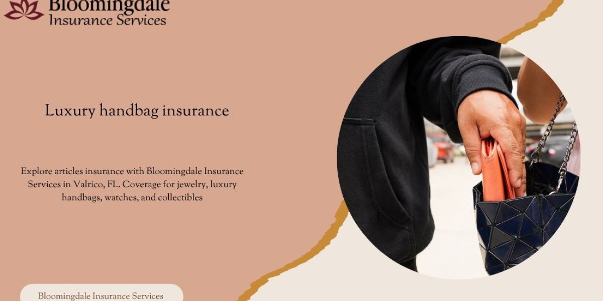 Protect Your Valuable Possessions with Luxury Handbag Insurance in Valrico, FL