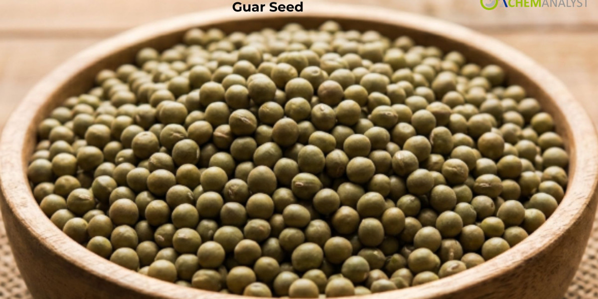 Guar seed Prices: Trend, Chart, News, Analysis and Forecast 2026