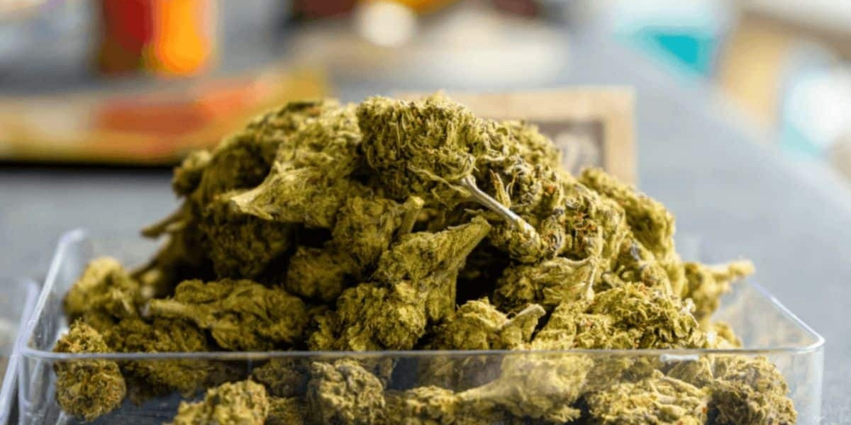 Fresh and Potent Cannabis Available Now