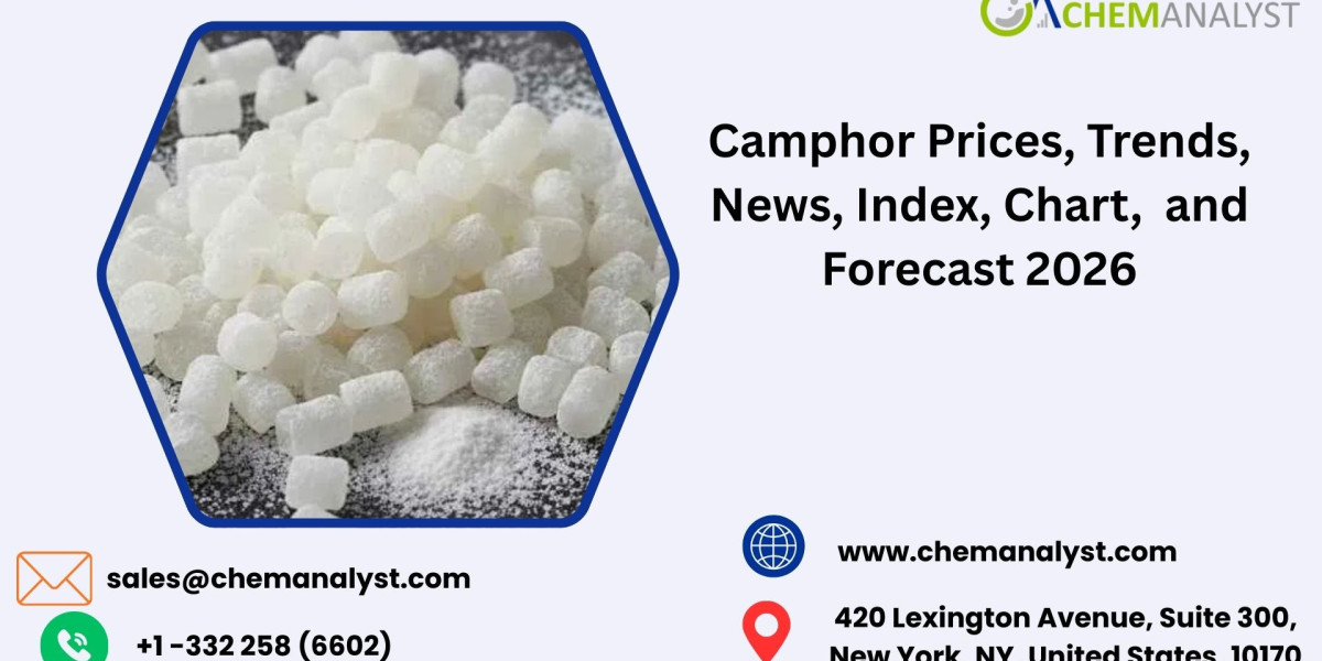 Camphor Prices, Trends, Chart, Market Analysis, Latest News & Forecast 2026