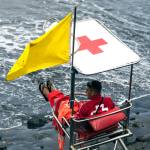 arlo booker