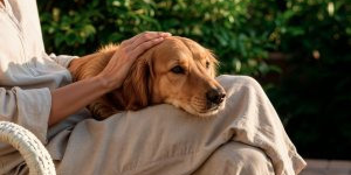Benefits of Choosing Euthanasia at Home for Your Pet