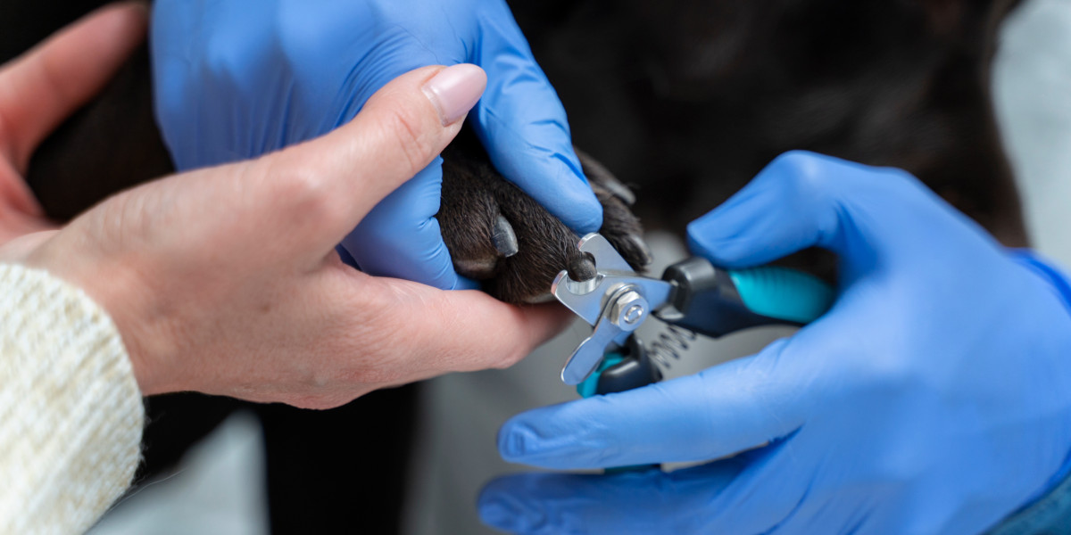 When and Why a Skin Stapler Is Used in Surgery