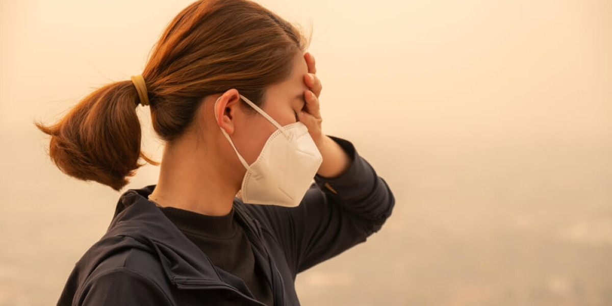 How Wildfire Smoke Affects Air Quality and Health