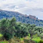 Greece Invests