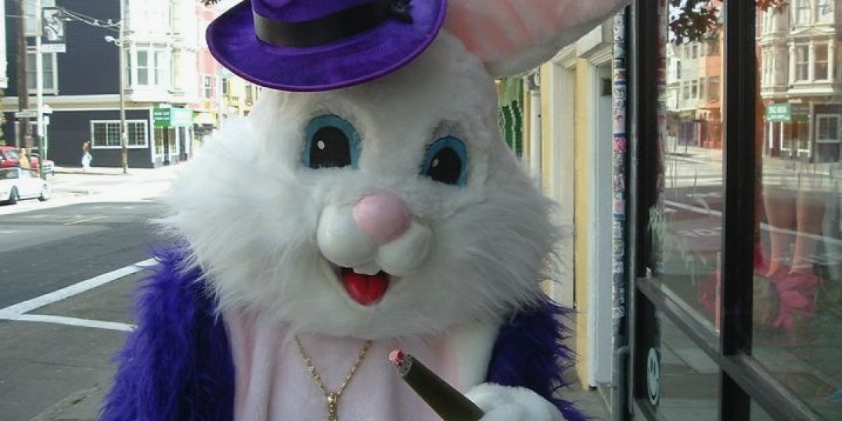 Pimpbunny Download Options Explained: A Complete Guide for Subscribers