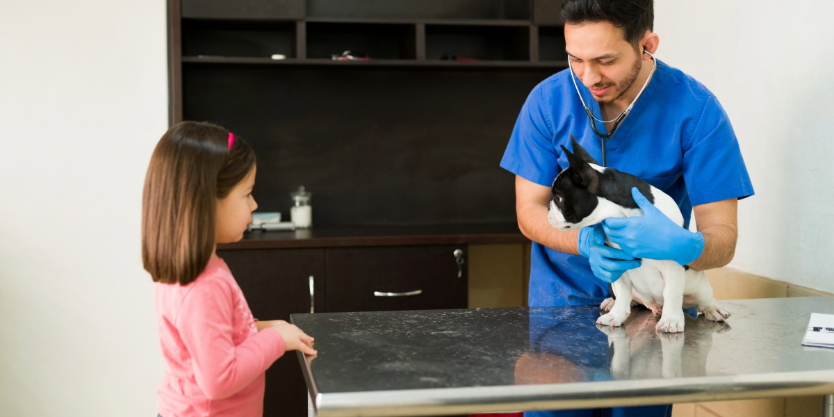 Vet Home Visit NYC: What Pet Owners Need to Know
