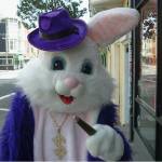 Pimp bunny