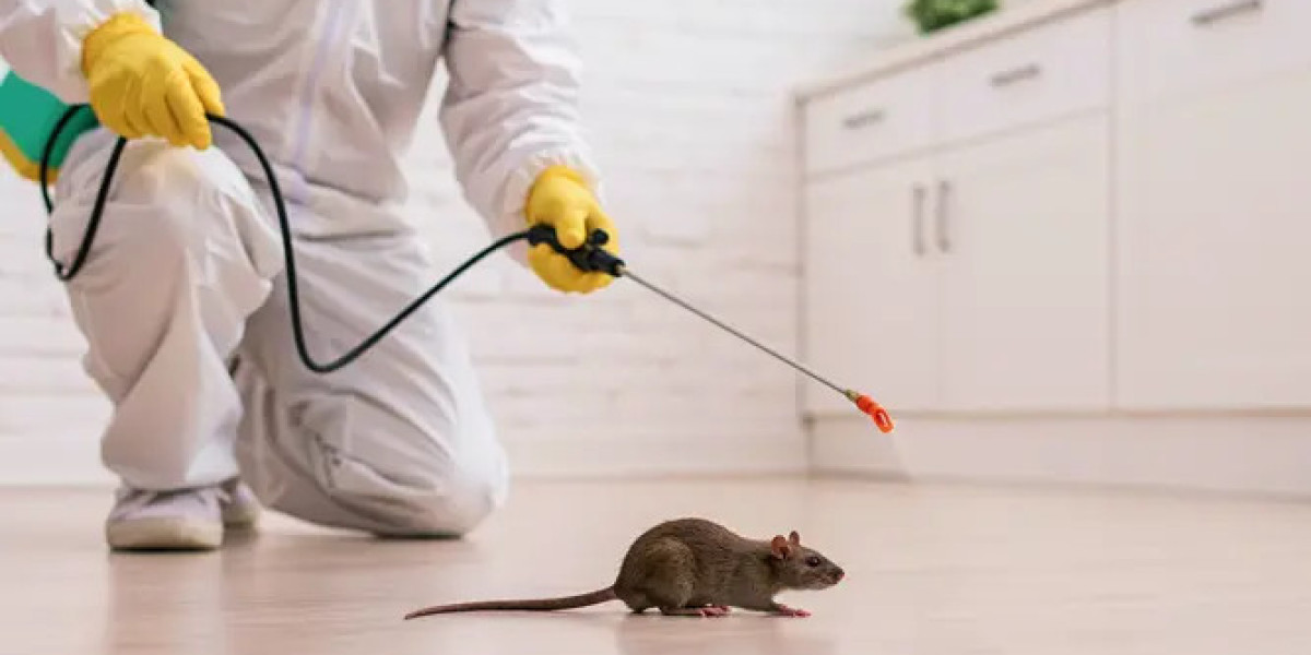 Reliable and Professional Pest Solutions for Your Property