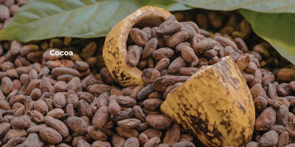 カカオ(Cocoa)価格動向：業界の成長、サプライチェーン、および市場見通し