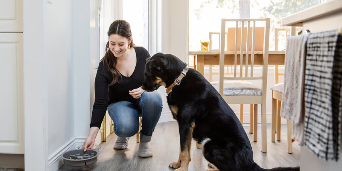 Raw and Fresh Dog Food Diet for Better Pet Health
