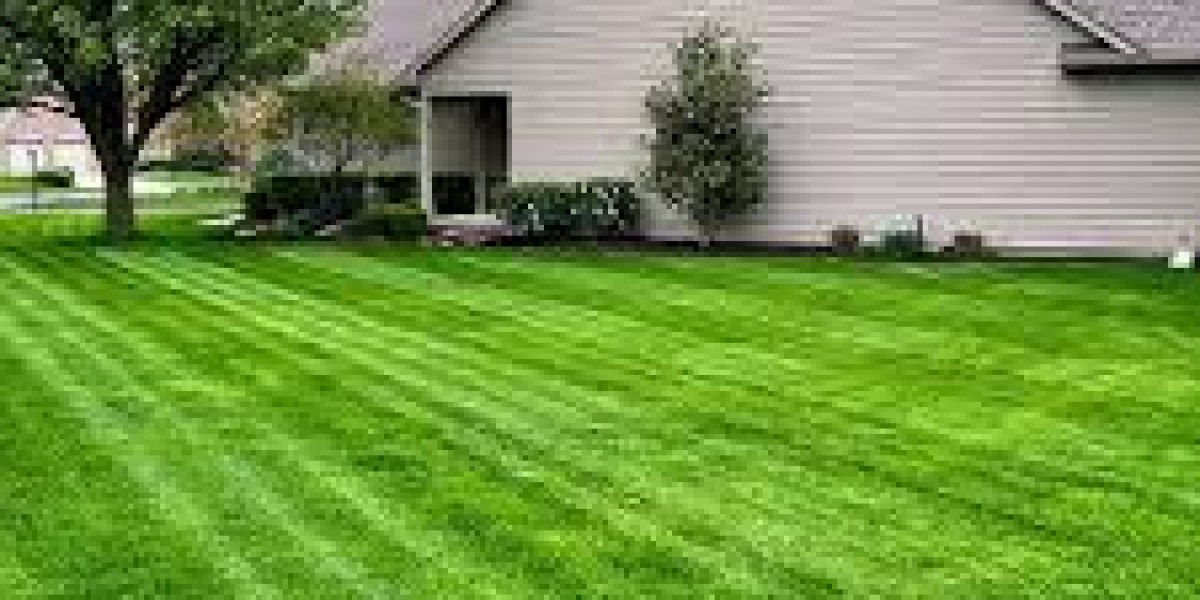 Lawn Care in Sherwood Park: A Complete Guide to a Healthy, Green Yard