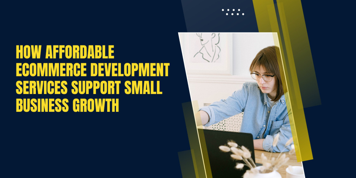 How Affordable Ecommerce Development Services Support Small Business Growth