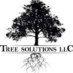 Tree Solutions LLC